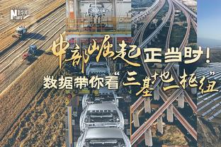 B费本赛季在联赛中被过48次，所有英超球员中最多